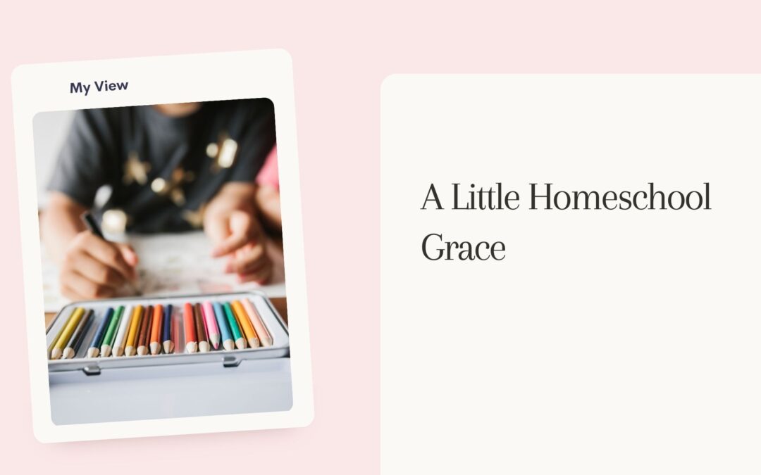 A Little Homeschool Grace