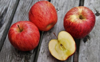 Welcoming Fall with Apple-Themed Picture Books