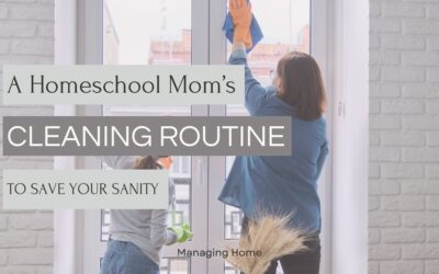 Homeschool Mom’s Cleaning Routine to Help Save Your Sanity