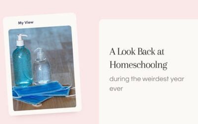 A Look Back at Homeschooling During the Weirdest Year Ever