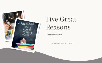 Five Great Reasons to Homeschool