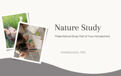 Make Nature Study A Part of Your Homeschool