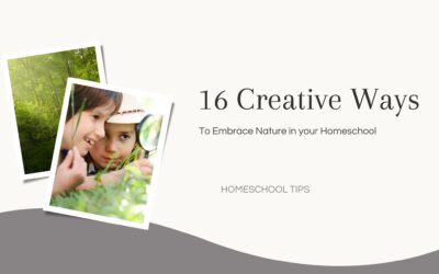 16 Creative Ways to Embrace Nature in Your Homeschool