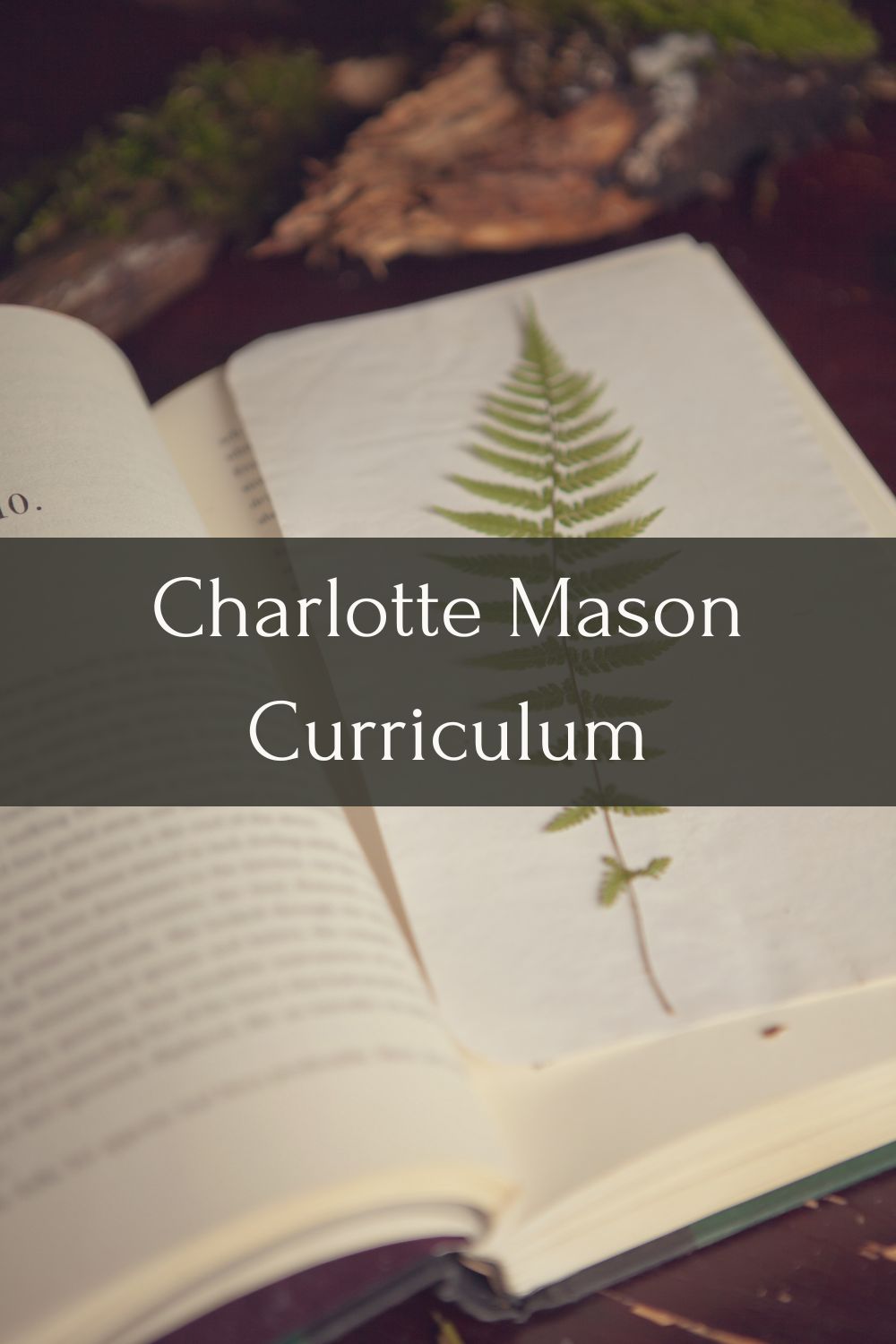 Charlotte Mason Curriculum