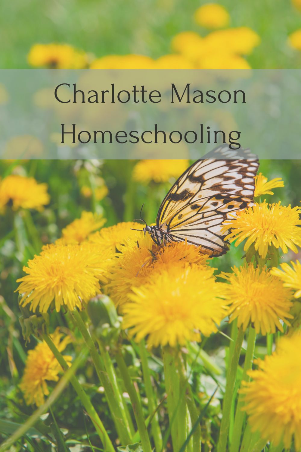 Charlotte Mason Homeschool