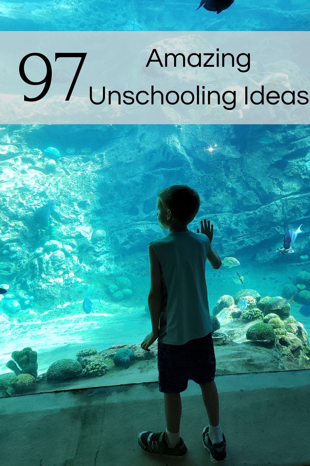 fun unschooling ideas