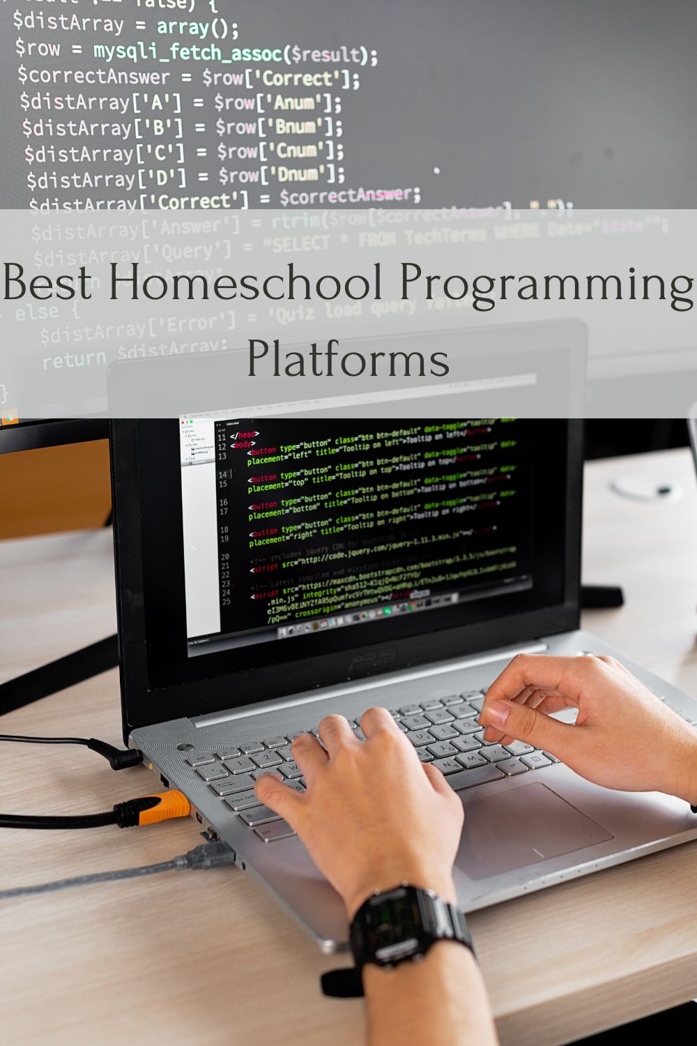 best homeschool programming