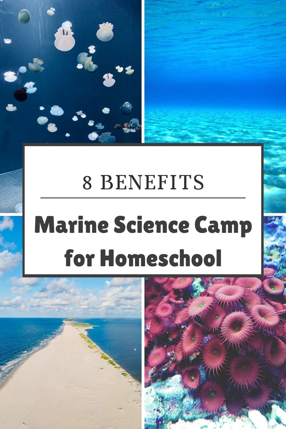 homeschool marine biology camp