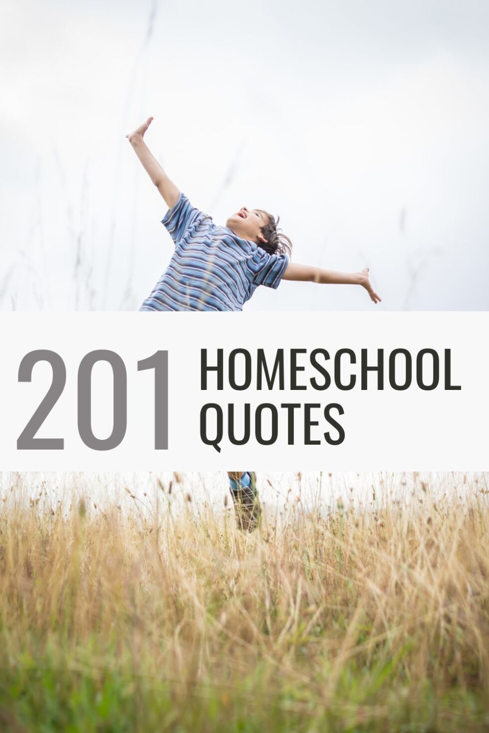 201 Ingenious Homeschool Quotes to Inspire Your Homeschool Year - My ...