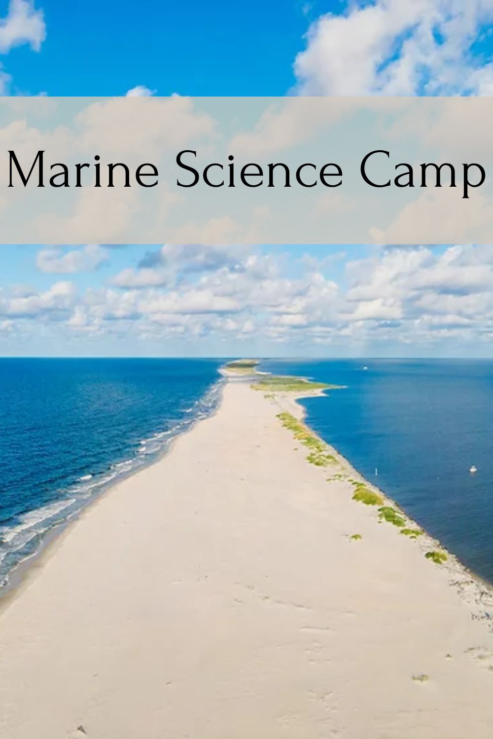 landry homeschool marine science camp