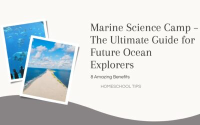 8 Amazing Benefits of Marine Science Camp – The Ultimate Guide for Future Ocean Explorers